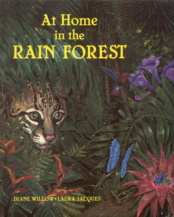 At Home in the Rainforext